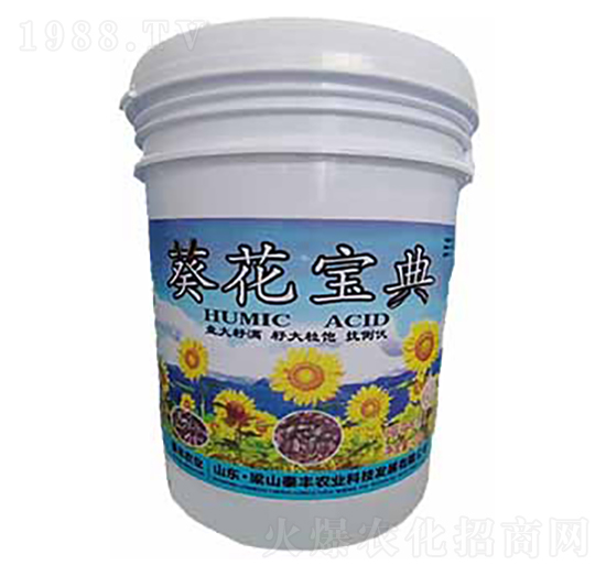 葵花寶典-梁山泰豐