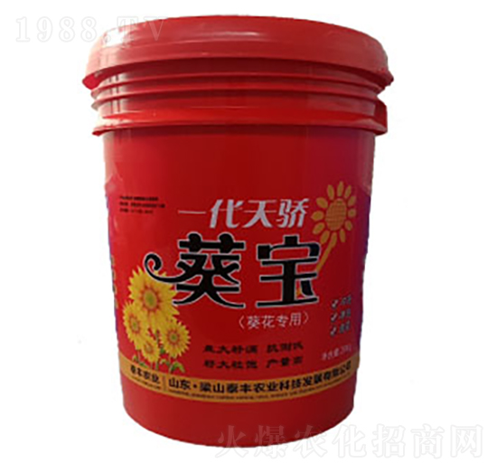 一代天驕葵寶-梁山泰豐