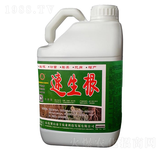 速生根-梁山泰豐