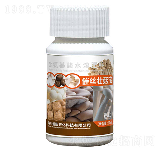 催絲壯菇寶-善田