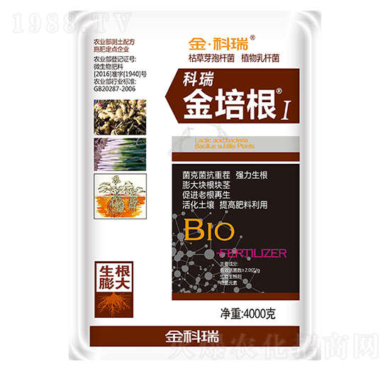 金培根1號(hào)-金科瑞