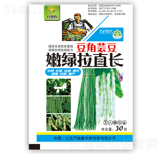 豆角蕓豆嫩綠拉直長(zhǎng)-萬物春
