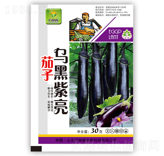茄子紫黑光亮-萬(wàn)物春