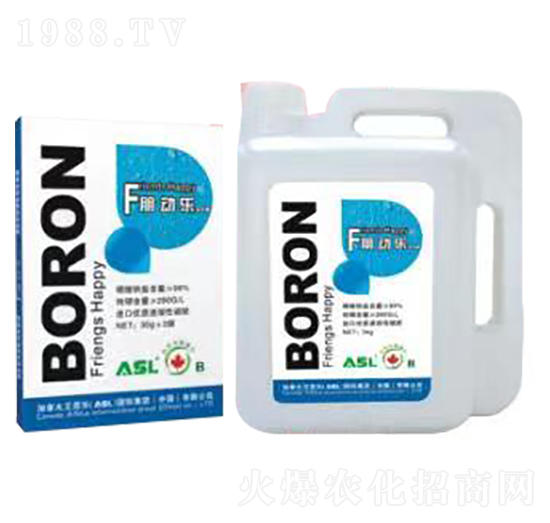朋動(dòng)樂(lè)流體硼-艾思樂(lè)