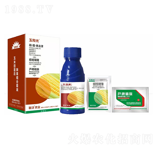 24%硝·煙·莠去津+8%煙嘧磺隆+蘆稗精除-玉陽(yáng)光-聯(lián)沃農(nóng)業(yè)