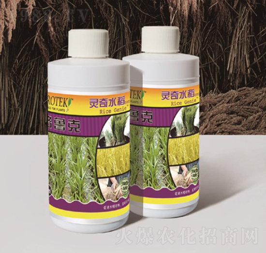 水稻專用葉面肥-靈奇水稻-格魯克