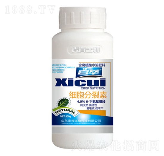 ��(x��)��������-ϲ��-��������