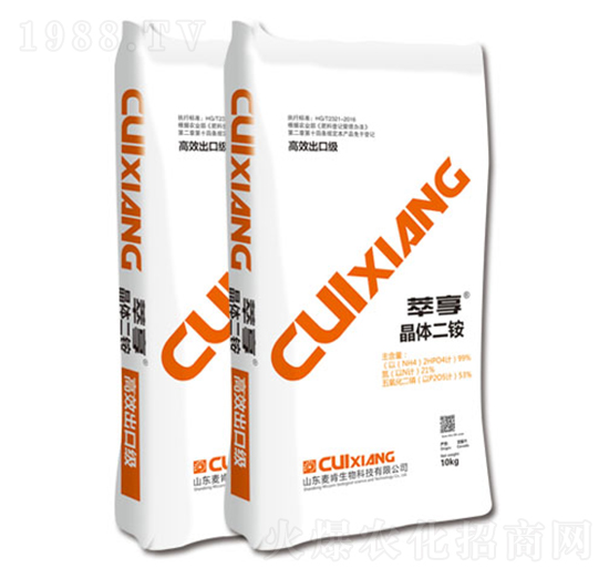 �������w���@-��������