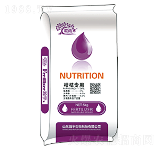 �̽ی�(zhu��n)��-�������