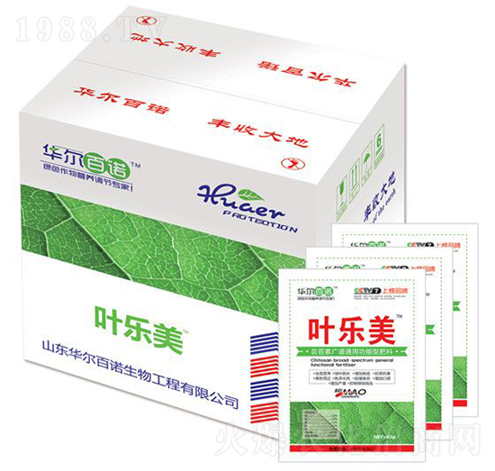 葉樂(lè)美-華爾百諾