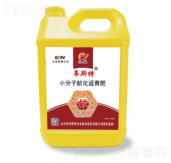 С���Ӻ��������-�f˹��-���r�I(y��)