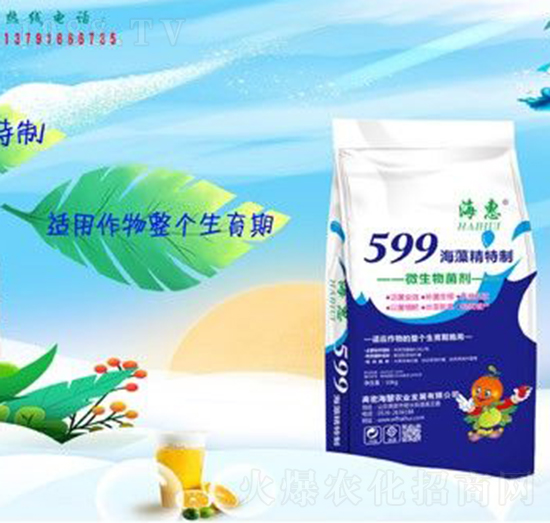 599海藻精特制-?；? style=