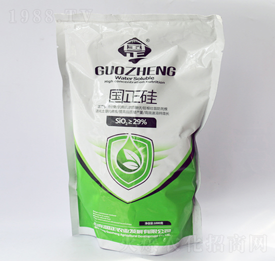 國(guó)正硅-正能量