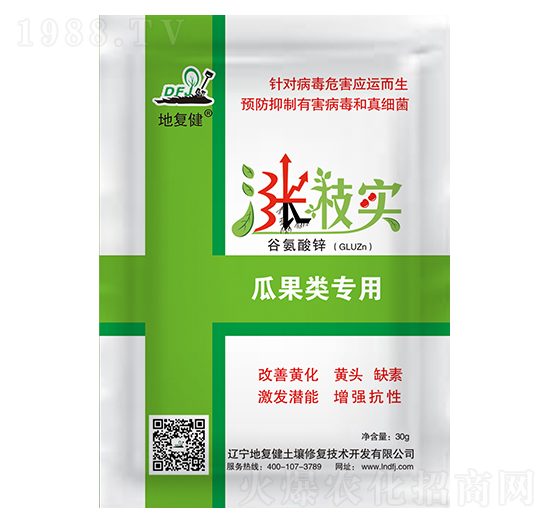 �Ϲ�����~���-�q�䌍-�؏ͽ�