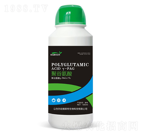 �۹Ȱ���-���S˹�طʘI(y��)