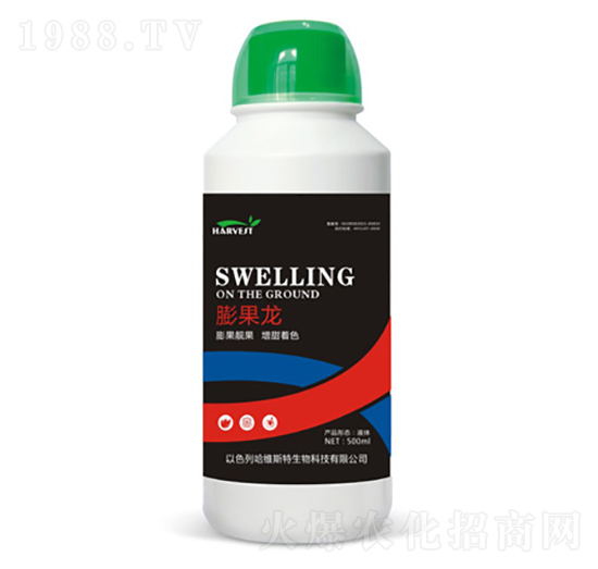 �����-���S˹�طʘI(y��)