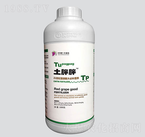 �������o�������a�I�B(y��ng)-�t����