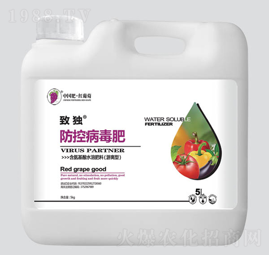 �ª����ز�����-�t����