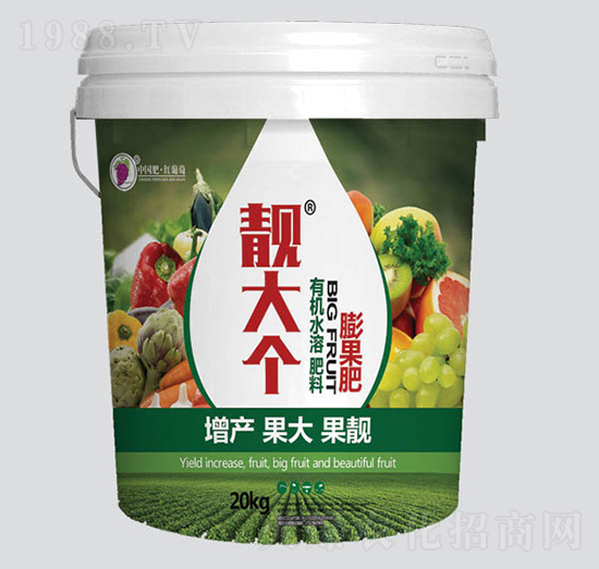 �n�������-�t����