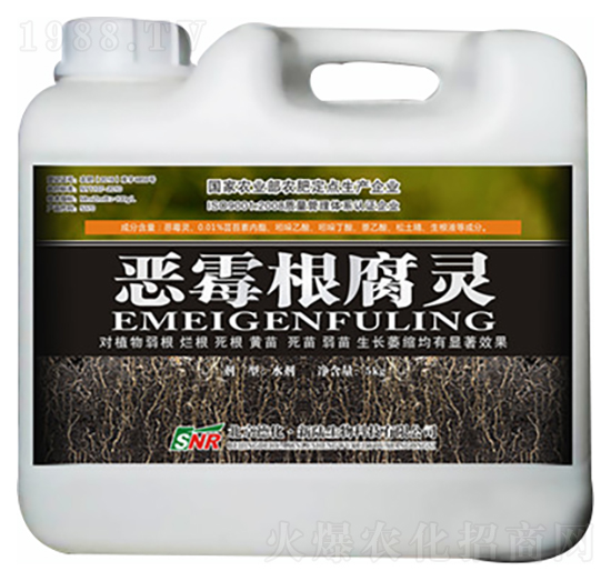 �����Ѹ��_ʩ��-��ù�����`-�»�