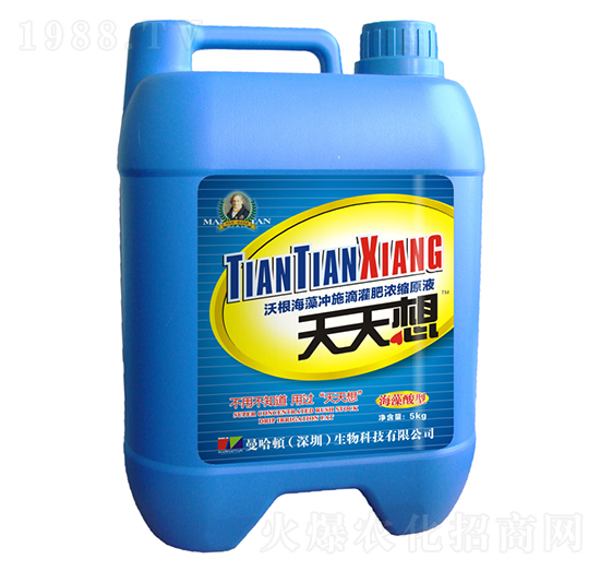 天天想（海藻酸型）-德化