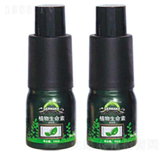 ֲ��������-�»�