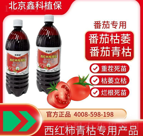 西紅柿專用型微生物菌劑-鑫科植保