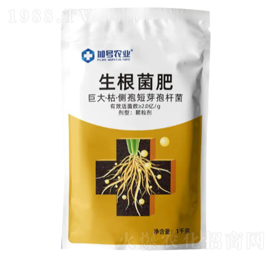 巨大·枯·側(cè)孢短芽孢桿菌-生根菌肥-加號農(nóng)業(yè)