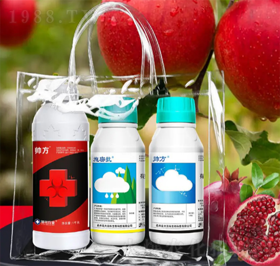 清園方案-加號(hào)農(nóng)業(yè)