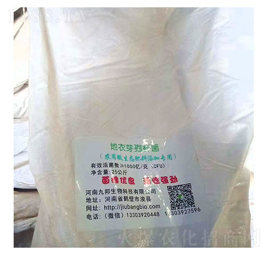 地衣芽孢桿菌-九邦生物