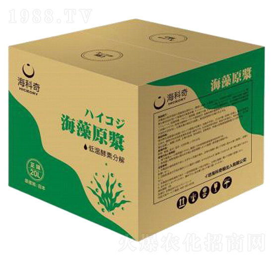 ����ԭ�{-������