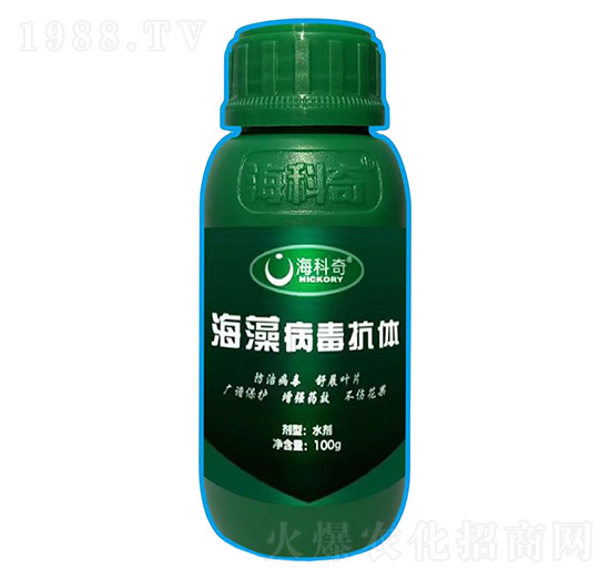 ���岡�����w-������