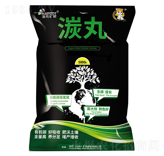 ����-����