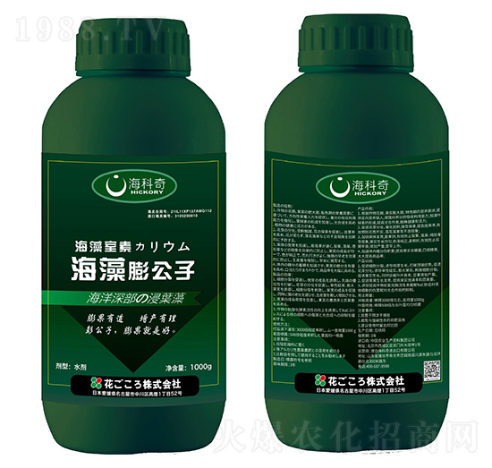 ��������-������