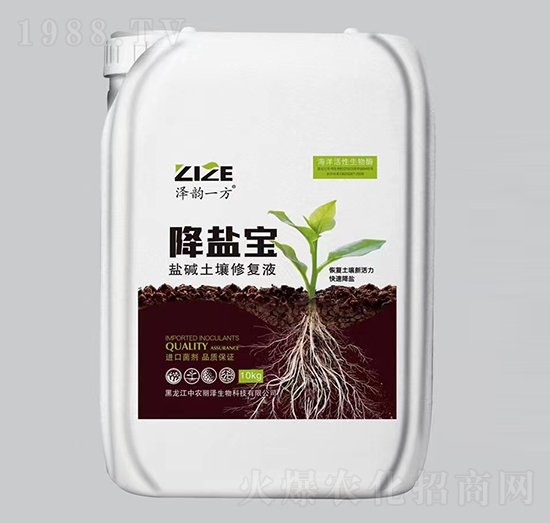 �}�A�����ޏ�Һ-���}��-���r���