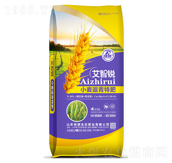 小麥返青特肥艾智銳-銳朗