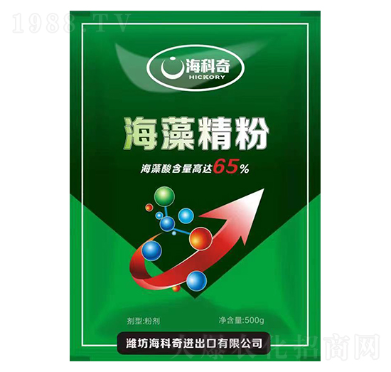 ���徫��-������