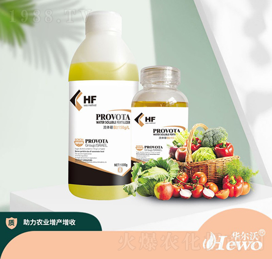 流體硼-海法-華爾沃