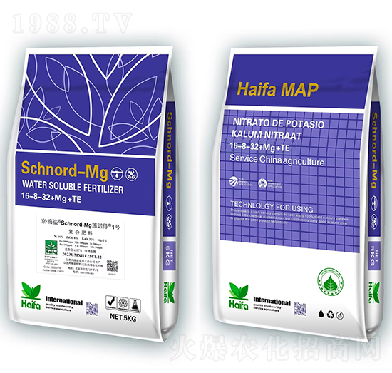 ʩ�Z��1̖16-8-32+Mg+Te-�������Q(m��o)