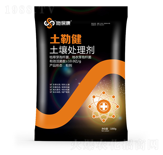 ����̎�턩-���ս�-ʩ����