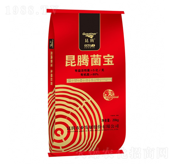 ΢�������-���v����-���v����