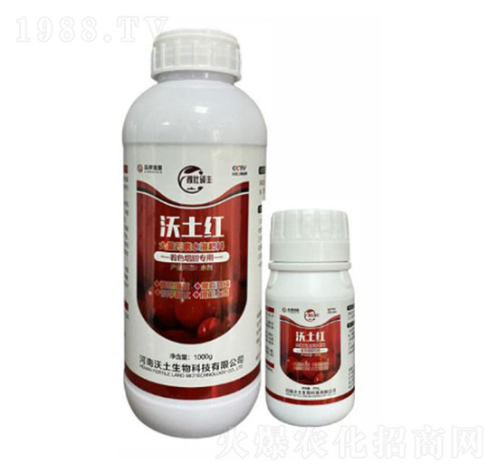 �����t��������ɫ�ͣ�-��������