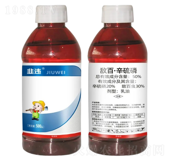 50%���١�����������-���`-Ұ������