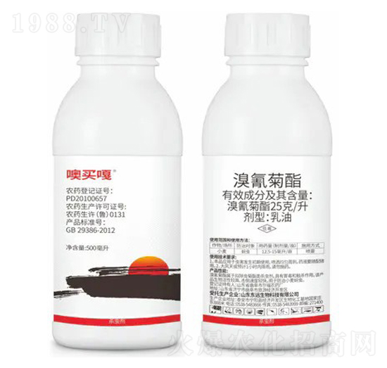 25��ÿ�������������-���I(m��i)��-�|�h(yu��n)����