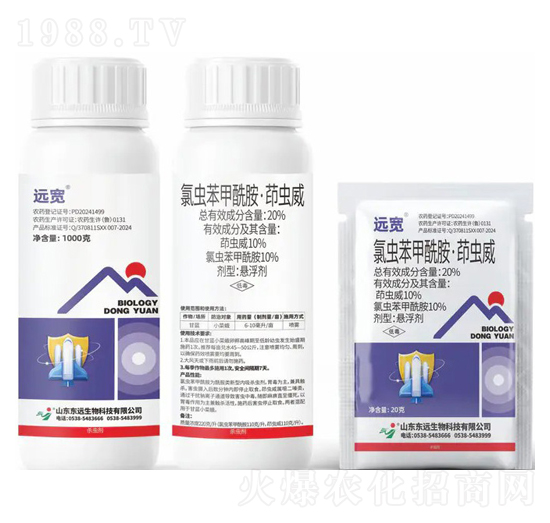 20%���x�������������x���Ҹ���-�h��-�|�h����