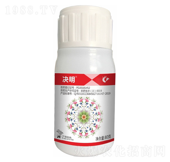 24%���x(ch��ng)��������-�Q��-����¡����