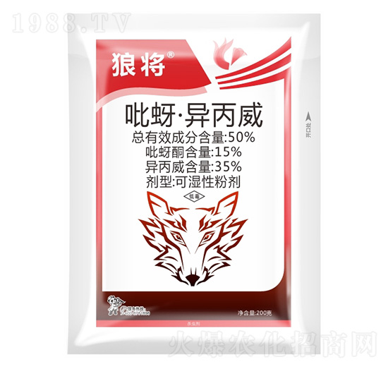 50%������������-�ǌ�-����¡����