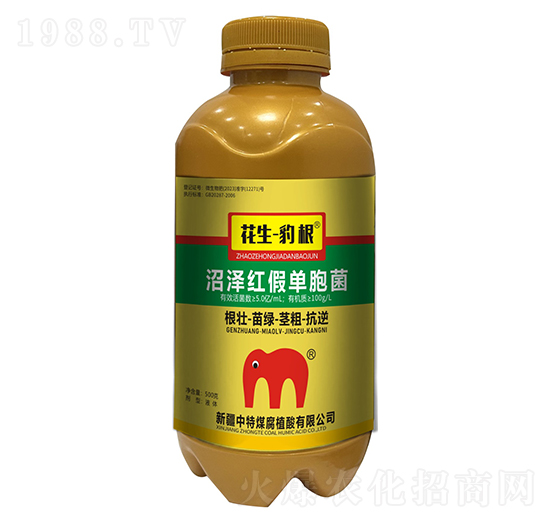 沼澤紅假單胞菌-花生·豹根-中特煤