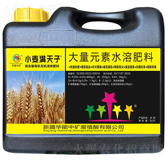 小麥滿天子-華能中礦