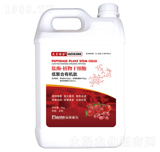 肽酶·植物干細(xì)胞-昊月信合